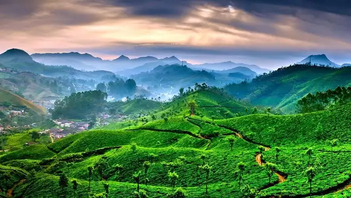 Munnar Tour Packages Book @ upto 30% off