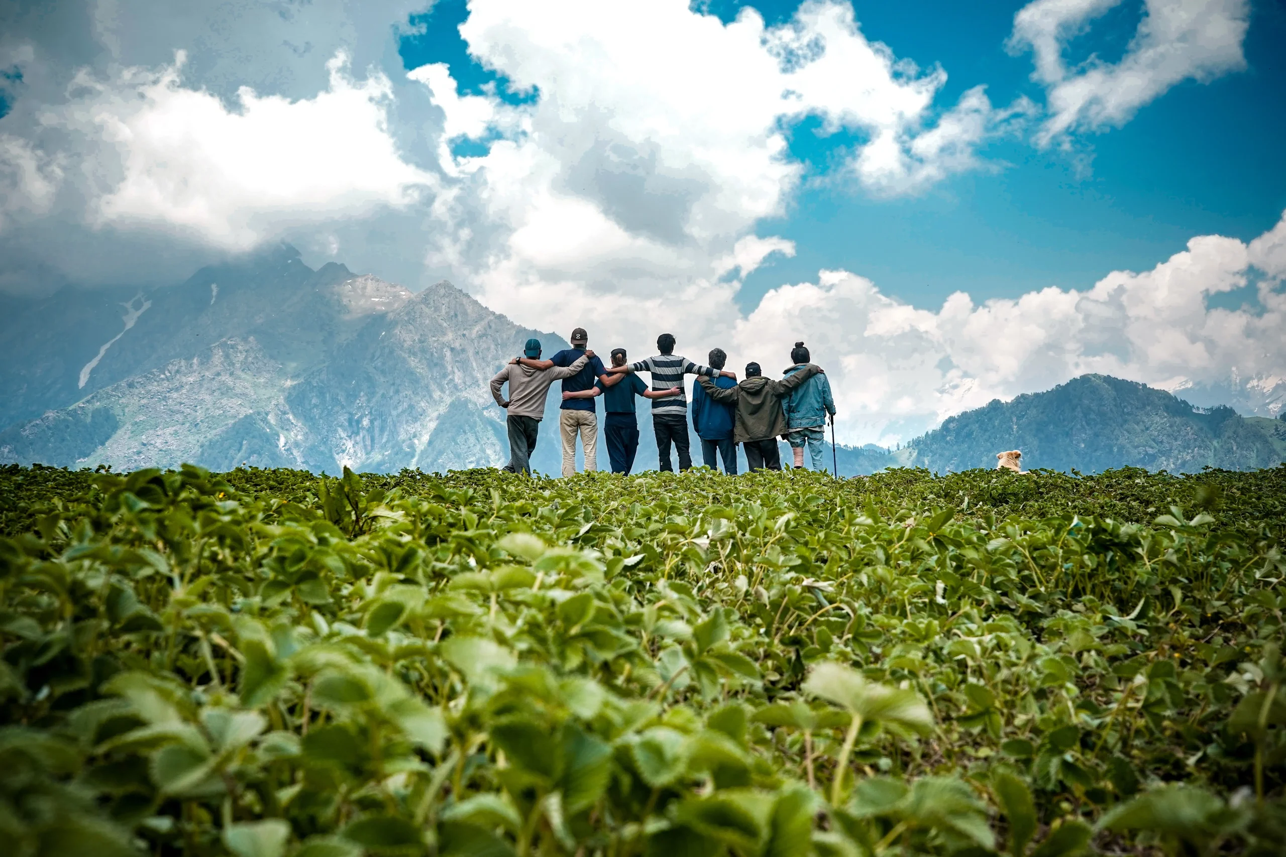 Darjeeling family tour packages| Book Upto 30% Off