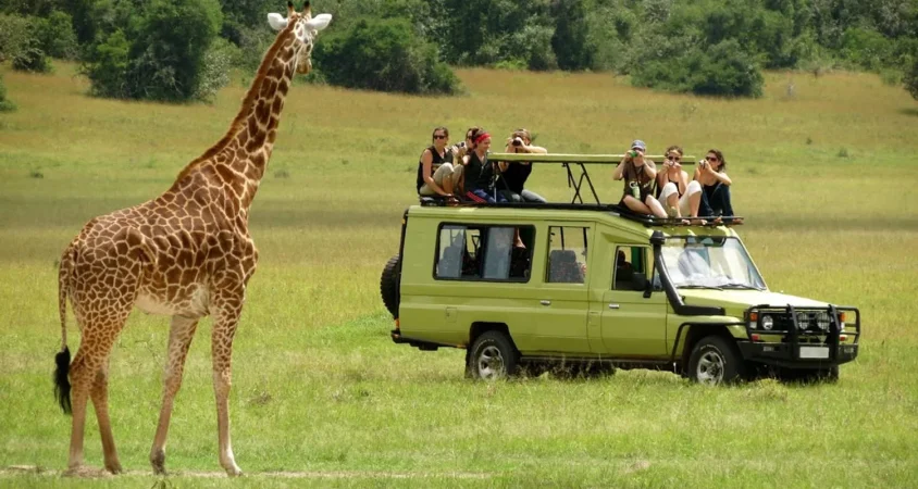 Kenya Tour Packages