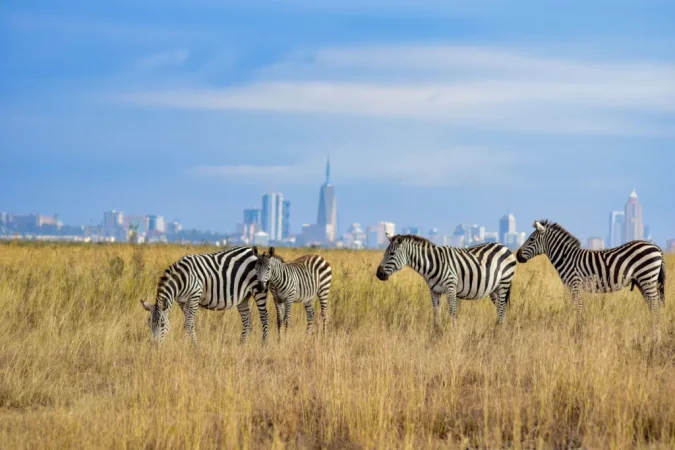 Kenya Tour Packages