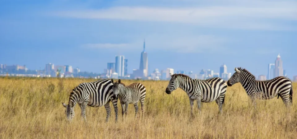 Kenya Tour Packages