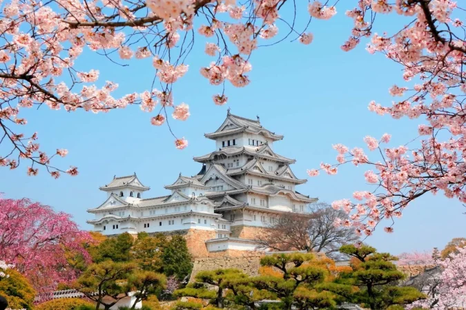 Amazing Japan Private Tour Package