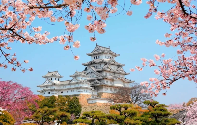 Amazing Japan Private Tour Package 6 Nights/7 Days,