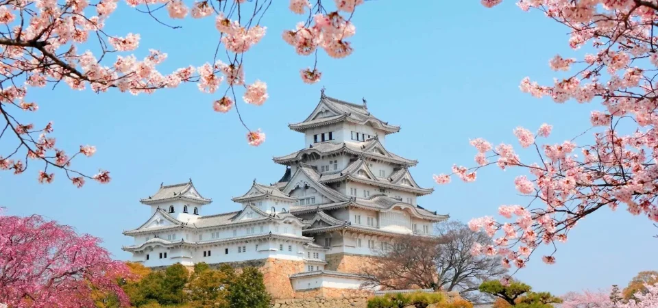 Amazing Japan Private Tour Package