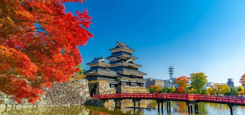 Amazing Japan Private Tour Package