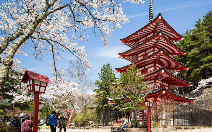 Amazing Japan Private Tour Package