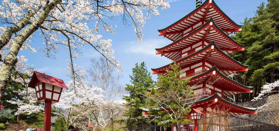 Amazing Japan Private Tour Package