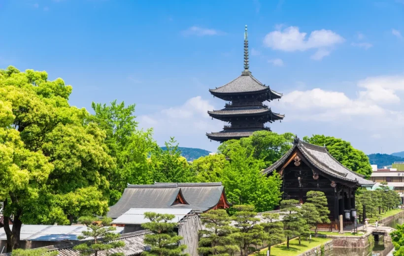 Best of Japan: A Cultural Odyssey Across Osaka and Tokyo